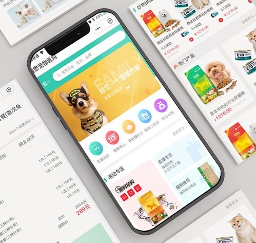 零基礎 沒經驗,小程序上線后該怎么運營