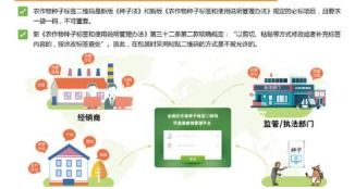 種子追溯系統軟件設計開發解決方案,提升農產品產量安全