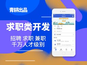 定制軟件開發(fā)的優(yōu)缺點(diǎn)是什么 安徽青耕