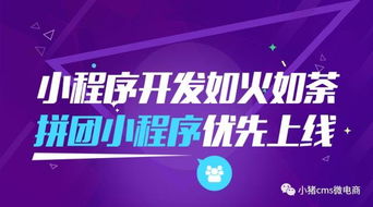 小程序開發(fā)如火如荼,小豬cms電商拼團小程序優(yōu)先上線