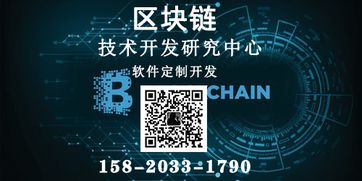 微云全球系統平臺軟件開發定制