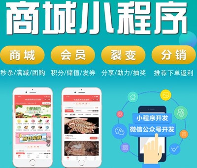 濟南淄博商城版小程序開發