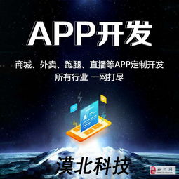 一家專業軟件app小程序定制開發公司
