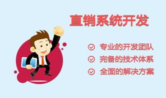 直銷軟件 開發公司 定制開發