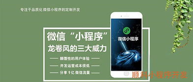 深圳小程序開發,小程序源碼的重要性