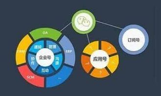 小程序服務(wù)類型如何選