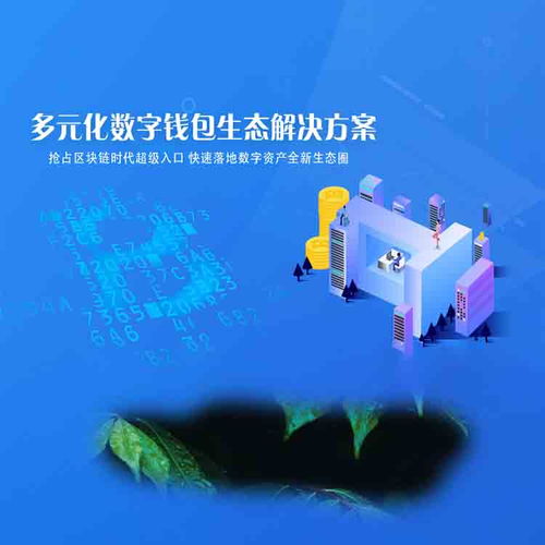 編程和調(diào)試app軟件